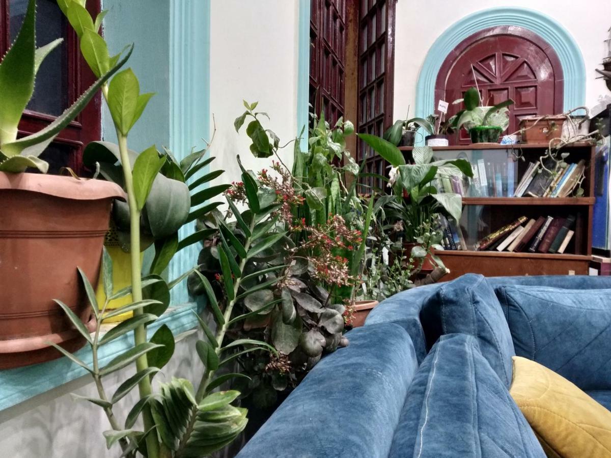Flora Hostel Baku Exteriér fotografie